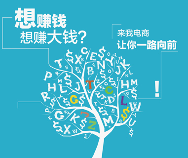 国内电商解决方案 